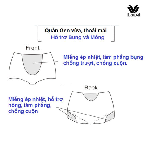 Quần gen định hình ILR4815