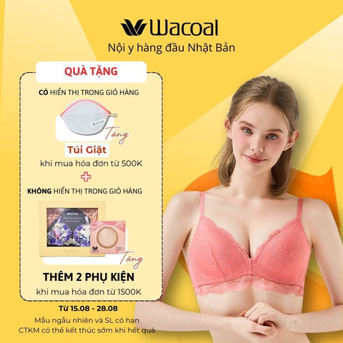 Trendy Bra - Áo lót không gọng, nâng vừa IPB3302