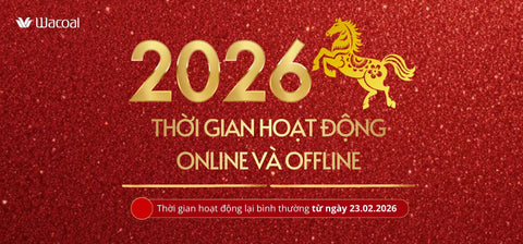 Cập nhật bán hàng hệ thống cửa hàng và giao hàng Tết Bính Ngọ 2026