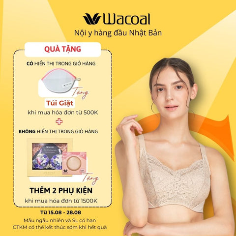 Áo lót có gọng, nâng vừa, plus size IIB4223