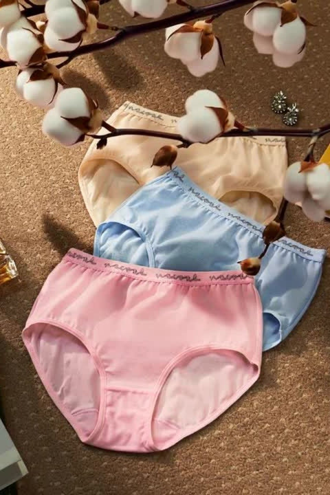 Quần lót cotton lưng cao IIP3508
