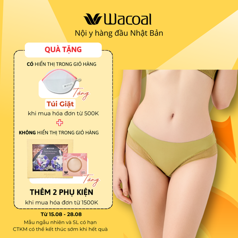 Quần lót không viền, ren lưới IIP4514