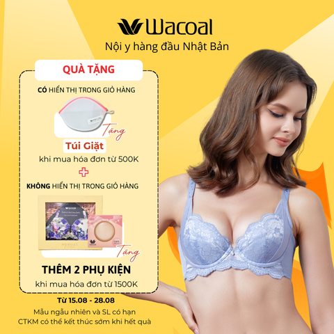 Áo lót có gọng, nâng nhiều V4319ZB