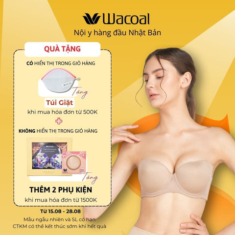 Áo lót có gọng, nâng nhiều - VVB5802